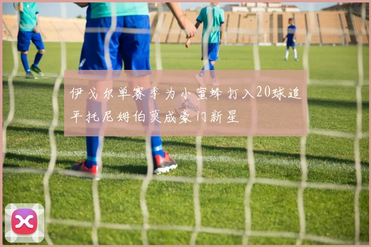 伊戈尔单赛季为小蜜蜂打入20球追平托尼姆伯莫成豪门新星