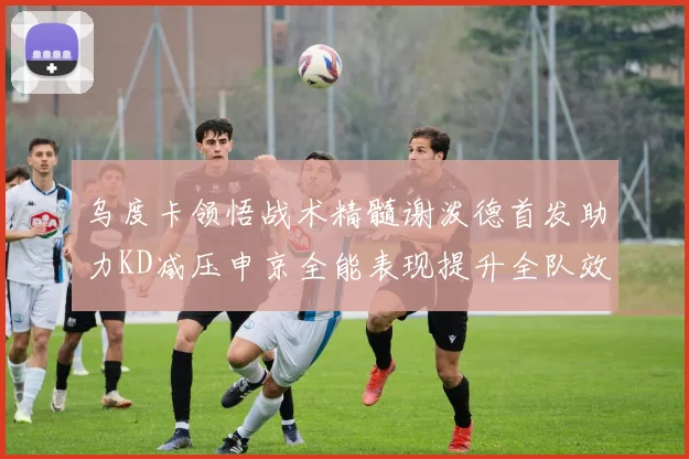 乌度卡领悟战术精髓谢泼德首发助力KD减压申京全能表现提升全队效率