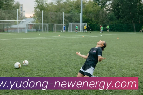 App Interface Preview